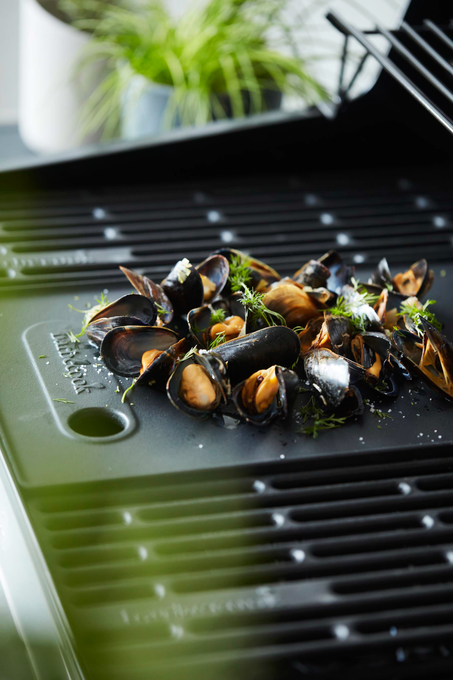 barbecook-brahma-grillplatte-gusseisen image 6