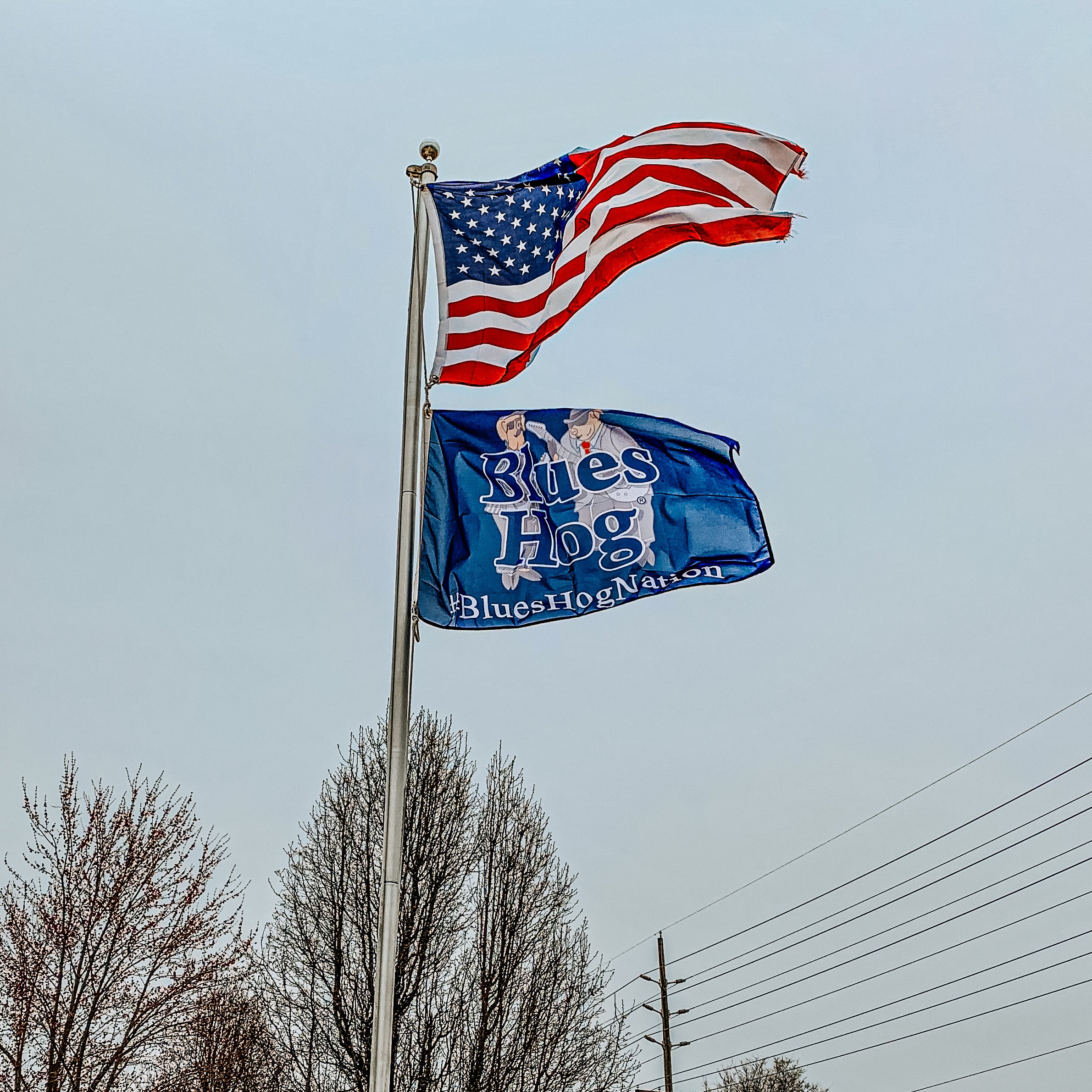 blues-hog-flagge-2-5x4ft-fahne-mit-logo image 2