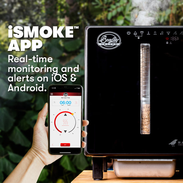 bradley-raven-smoker-elektro-smoker-bluetooth-2-sonden image 4