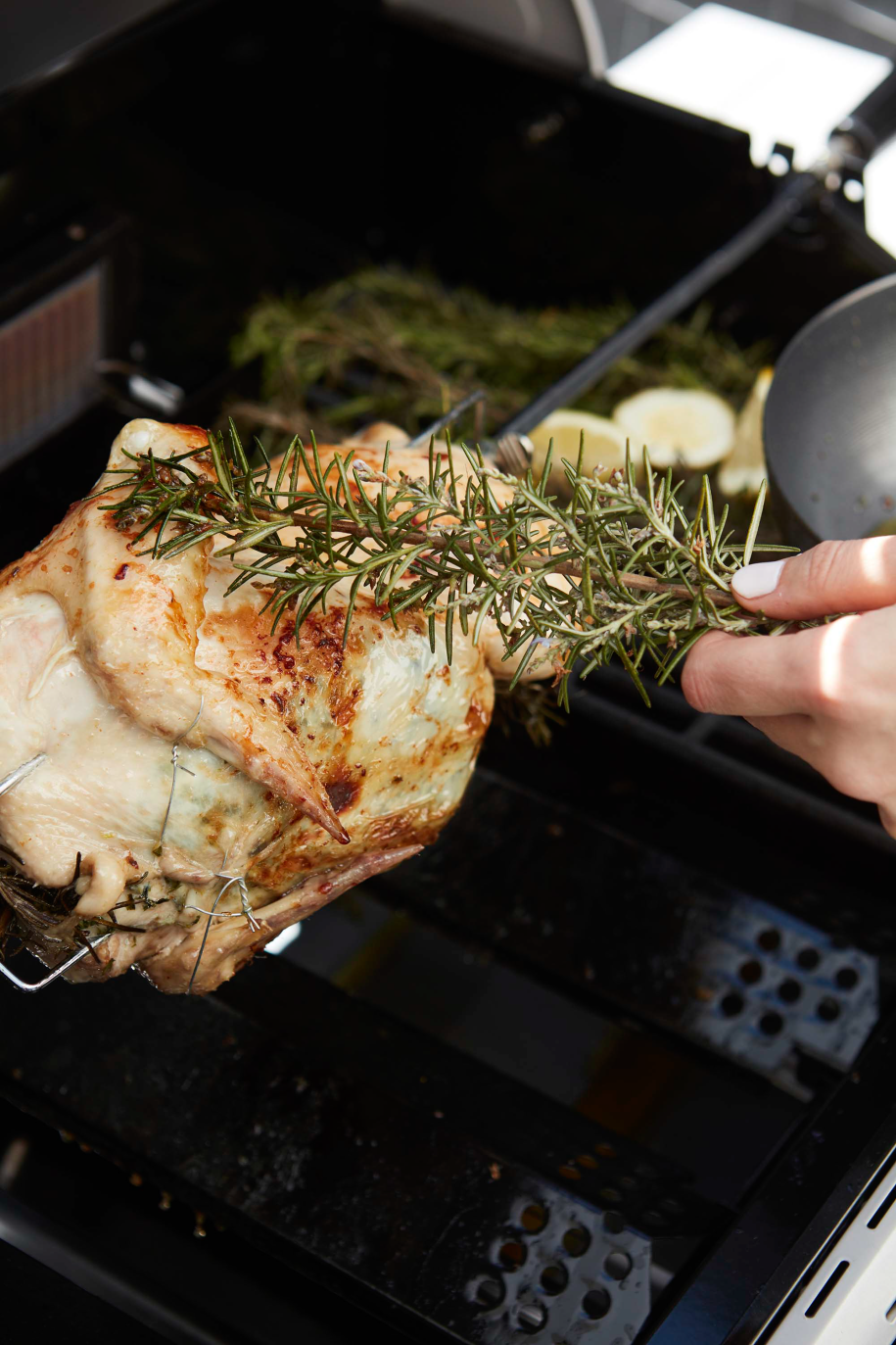 barbecook-buddy-grillspie-mit-motor-2-gabeln image 4