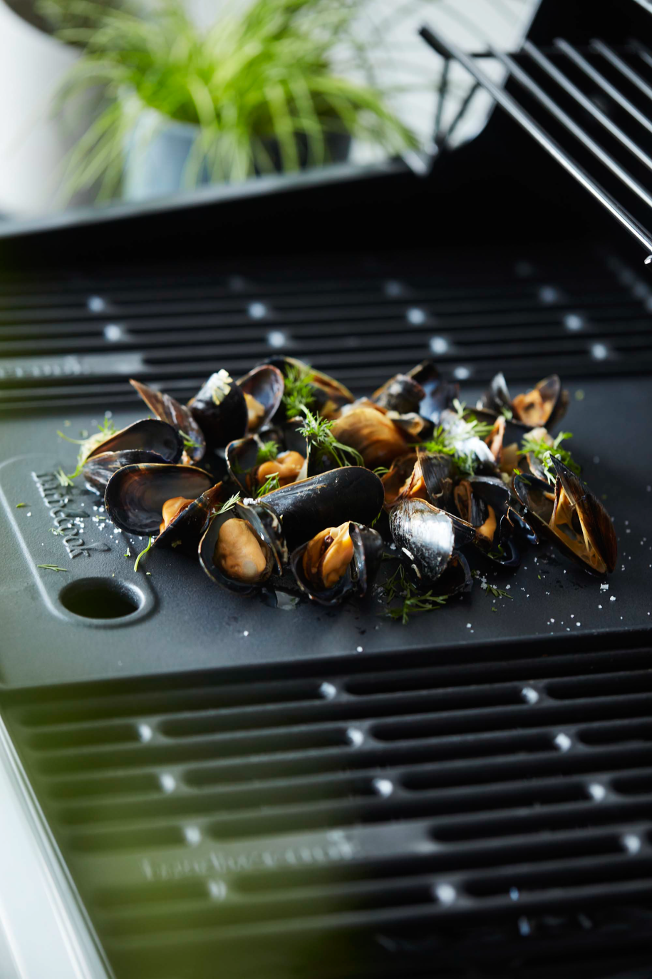 barbecook-brahma-grillplatte-gusseisen image 5